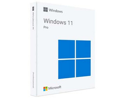 Windows OEM 11 Professional